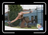 ecorpsabulle * (29 Diapositives)